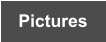 Pictures