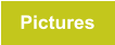 Pictures